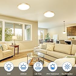 Peasur 12 Inch LED Ceiling Light Gold, 24W Slim