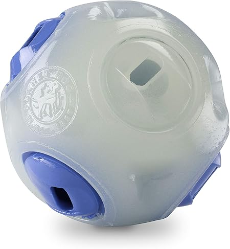 amazon indoor dog house