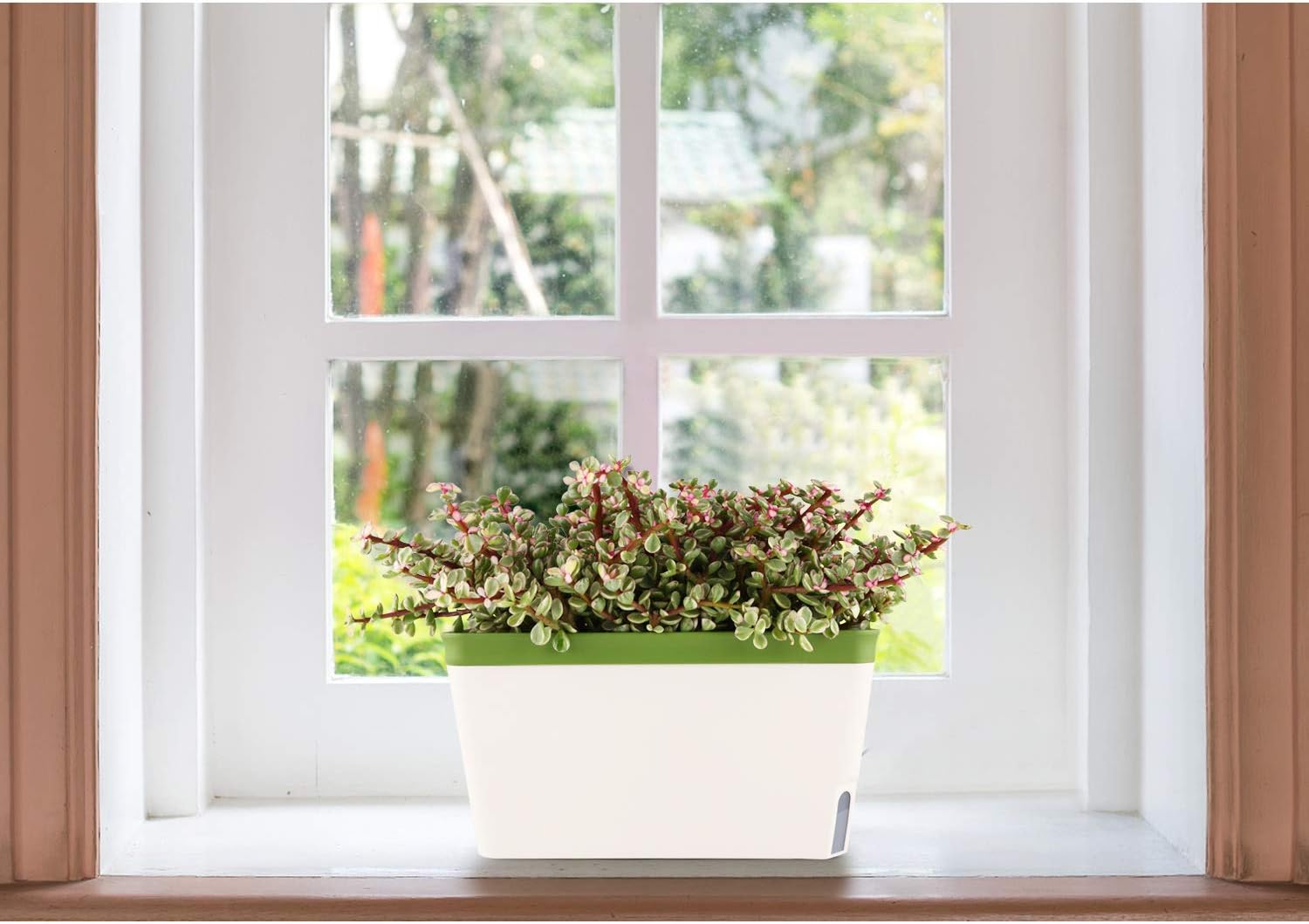T4U Self Watering Planter Pot Rectangle 27CM Set of 3 - Image 4
