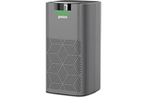 GANIZA Air Purifiers For Home Large Room
