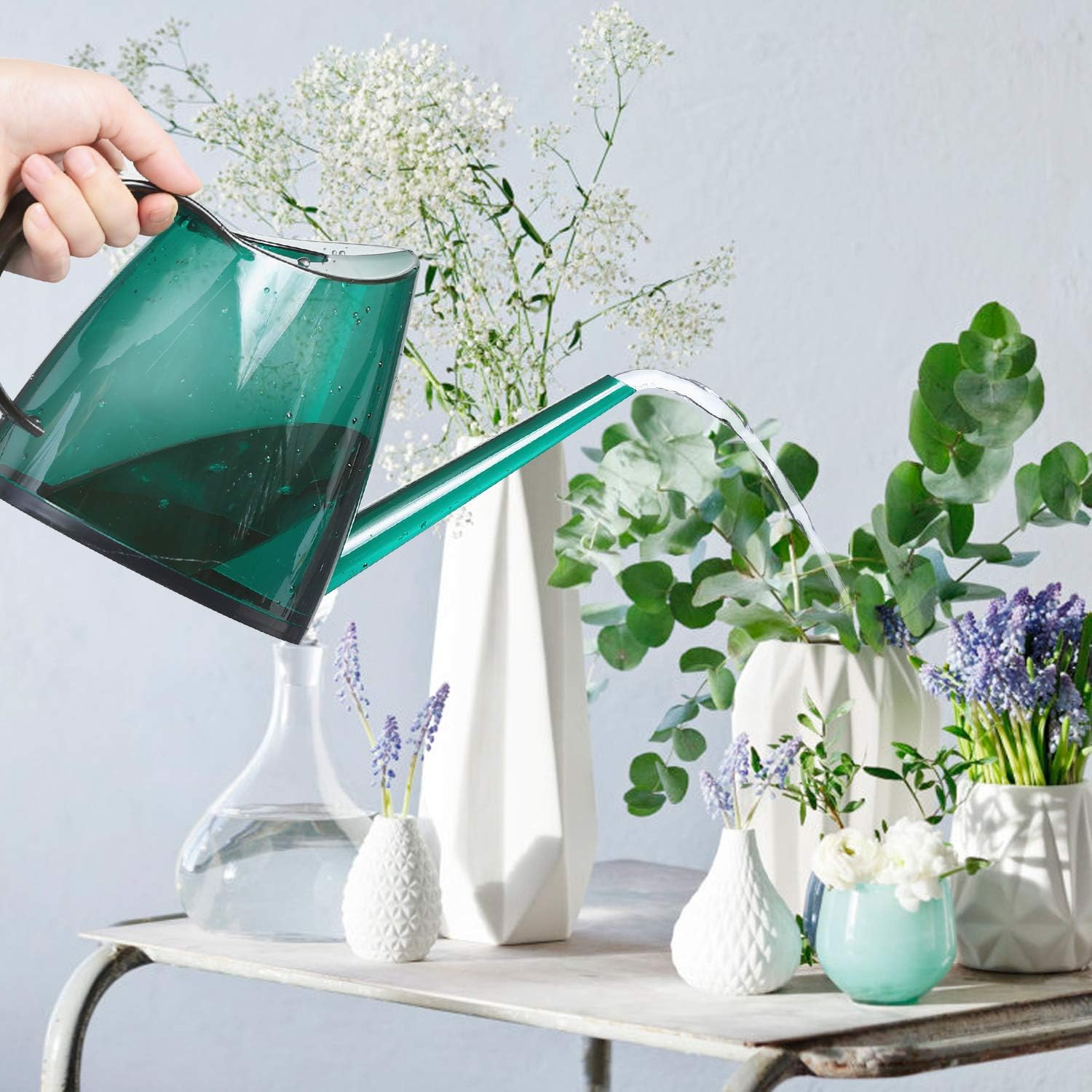 Watering Can, Transparent Long Spout Watering Kettle Nordic Style Garden Watering Pot for Indoor and Outdoor Watering Plants and Potted Flowers (1.4L, Green) : Garden & Outdoor
