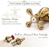 Wasserrhythm Basin Pillar Taps Twin Victorian Brushed Gold Brass Cross Levers view 3