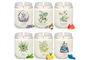 YINUO CANDLE Summer Scented Candles Gift Set – 6 Pack Soy Wax Candles with Watermelon, Lemon, Mint, Vanilla Coconut, Ocean & Lavender – Refreshing Aromatherapy Candles for Summer Decor & Relaxation