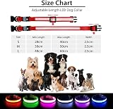 PcEoTllar Light Up Dog Collar USB Rechargeable 8 Modes Purple 7 Colors view 6