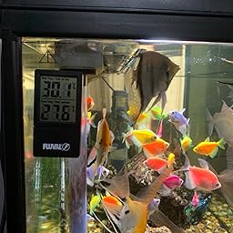 fluval digital thermometer