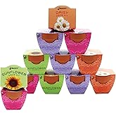 BUZZY Seeds Terracotta Mini Grow Pots, Flower Starter Kit, Assorted 12-Pack, Bright Series Collection Daisy, Lavender, Mini Rose, Sunflower Seeds, Gardening Gift, Party Favors, Weddings, Showers