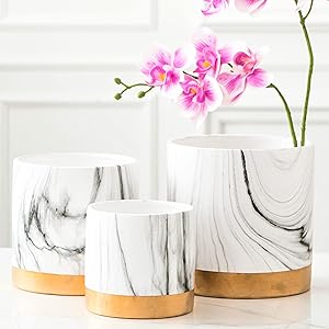 Plant Pots Indoor - 3 Pack Set, 4 + 5 + 6 Inch Plant Pot for Live Orchid, White Ceramic Planter, Marble Gold Decor Unique Modern Classy Flower Vase Succulent, Macetas para Plantas Interior Elegantes