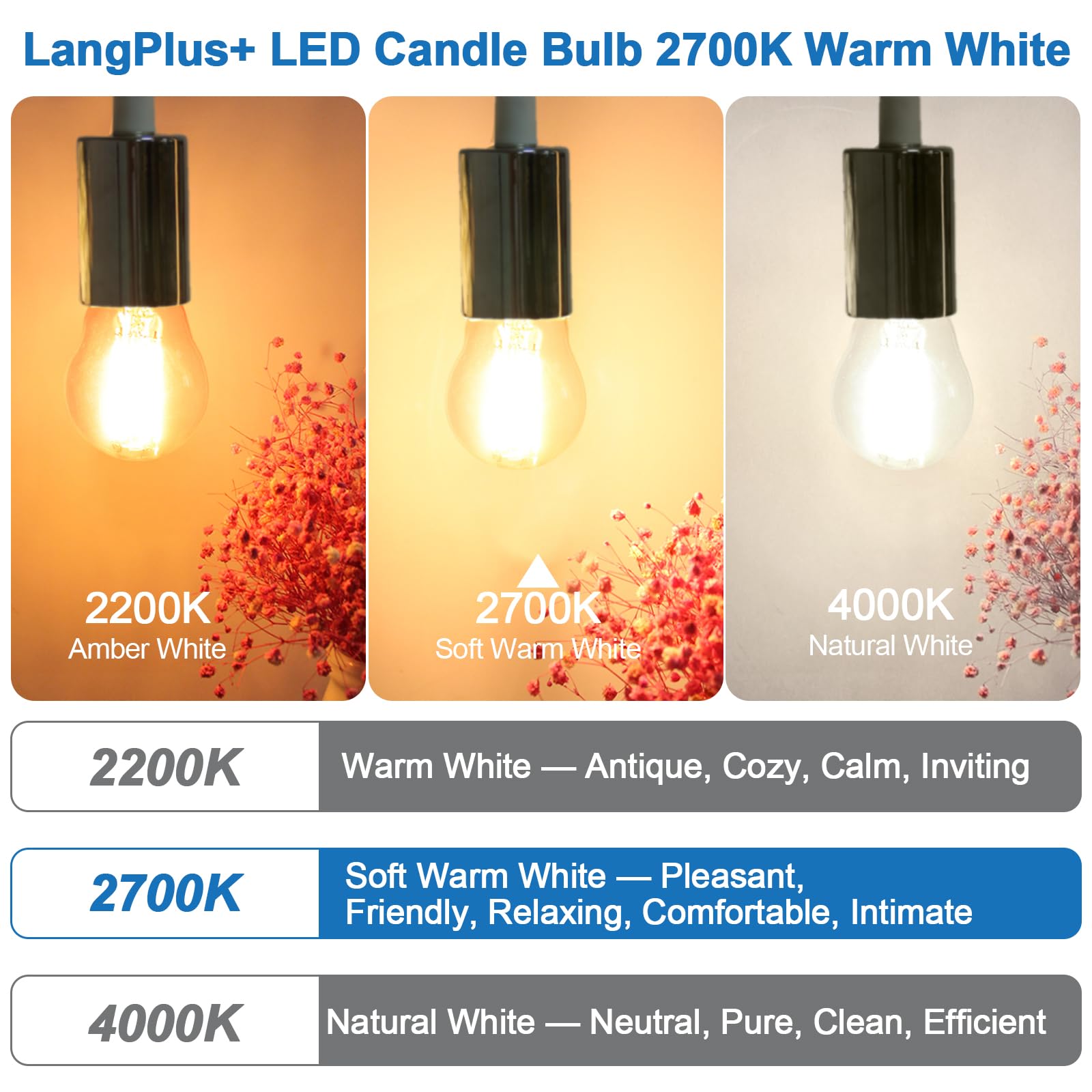 LangPlus+ 10 Stück E27 LED Lampe, Dimmbare G45 Birne, 4W, 40W Äquivalent E27 Sockel Globus Glühlampe, Warmweiß 2700K, LED Filament Fadenlampe für Pendelleuchten, Deckenventilator 9