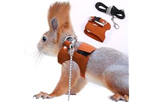 ADNIKIA Squirrel Traction Rope Strap Anti-Biting Chain Rope, Adjustable Vest, Small Animal Walking Harness with Lead Leash, Hamster Gerbil Rat Mouse Ferret Chinchilla Small Animal Walking Leash