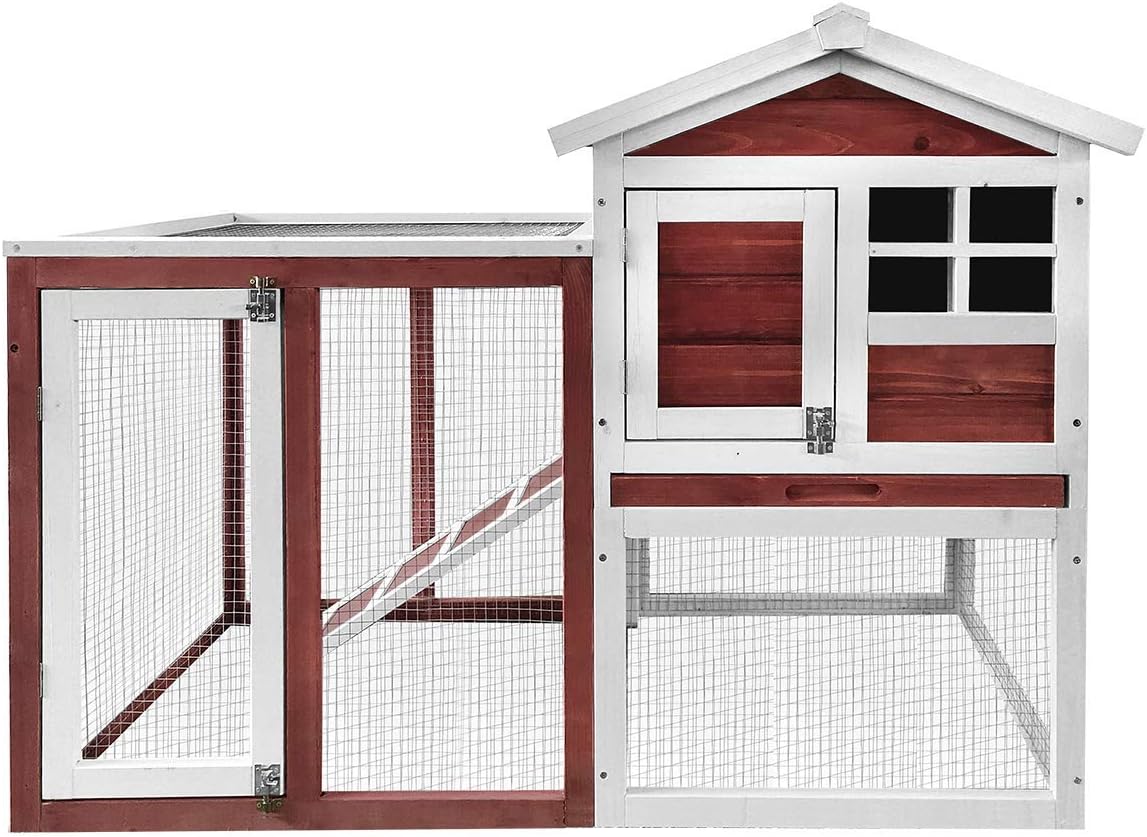 rabbit hutch on stilts