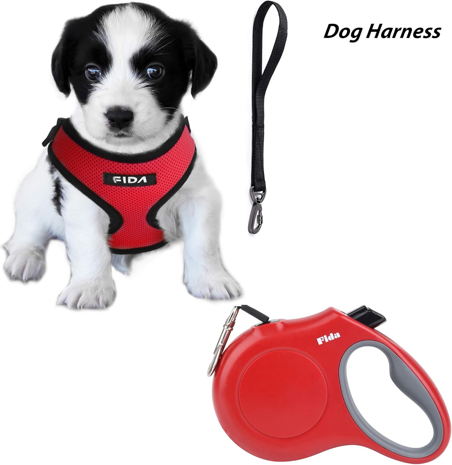 retractable leash for 100 lb dog