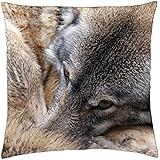 LESGAULEST Throw Pillow Cover (16x16 inch) - Wolf Eye Fur Wild Animal Wildlife Nature