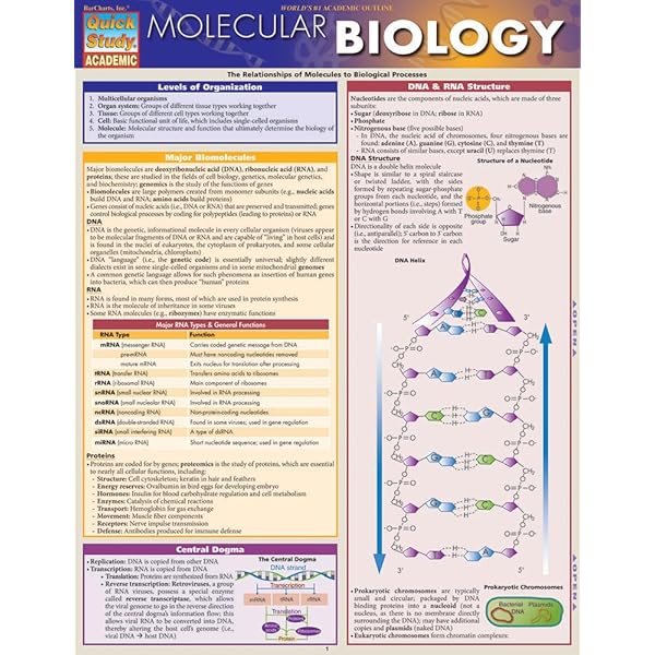 健康・医学 Molecular biology Molecular Biology : Principles and Practice by Jennifer