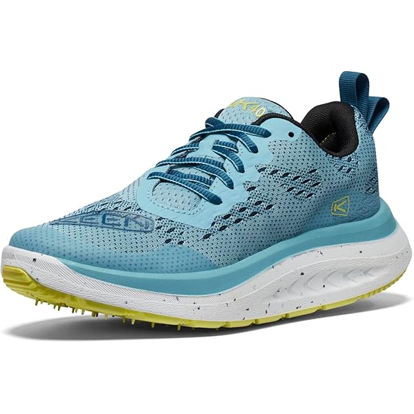 Amazon.com | Skechers Women's Max Cushioning Elite Walking
