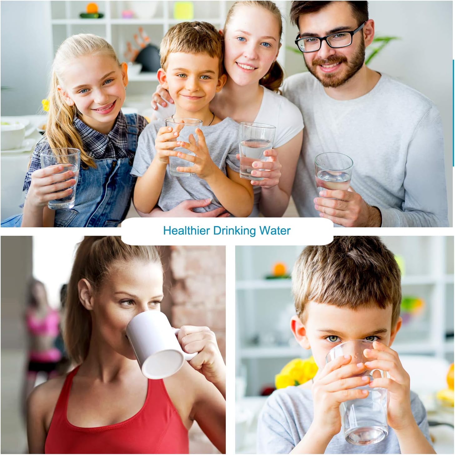 APEX RF-1050 Alkaline Filter Cartridge: Appliances
