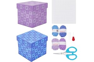 FREEBLOSS 2 Set Plastic Canvas Box Kit Cross Stitch Kit for Beginners Mesh Canvas Sheets and 4 Colors Yarn for Embroidery Crafting, Knitting Projects