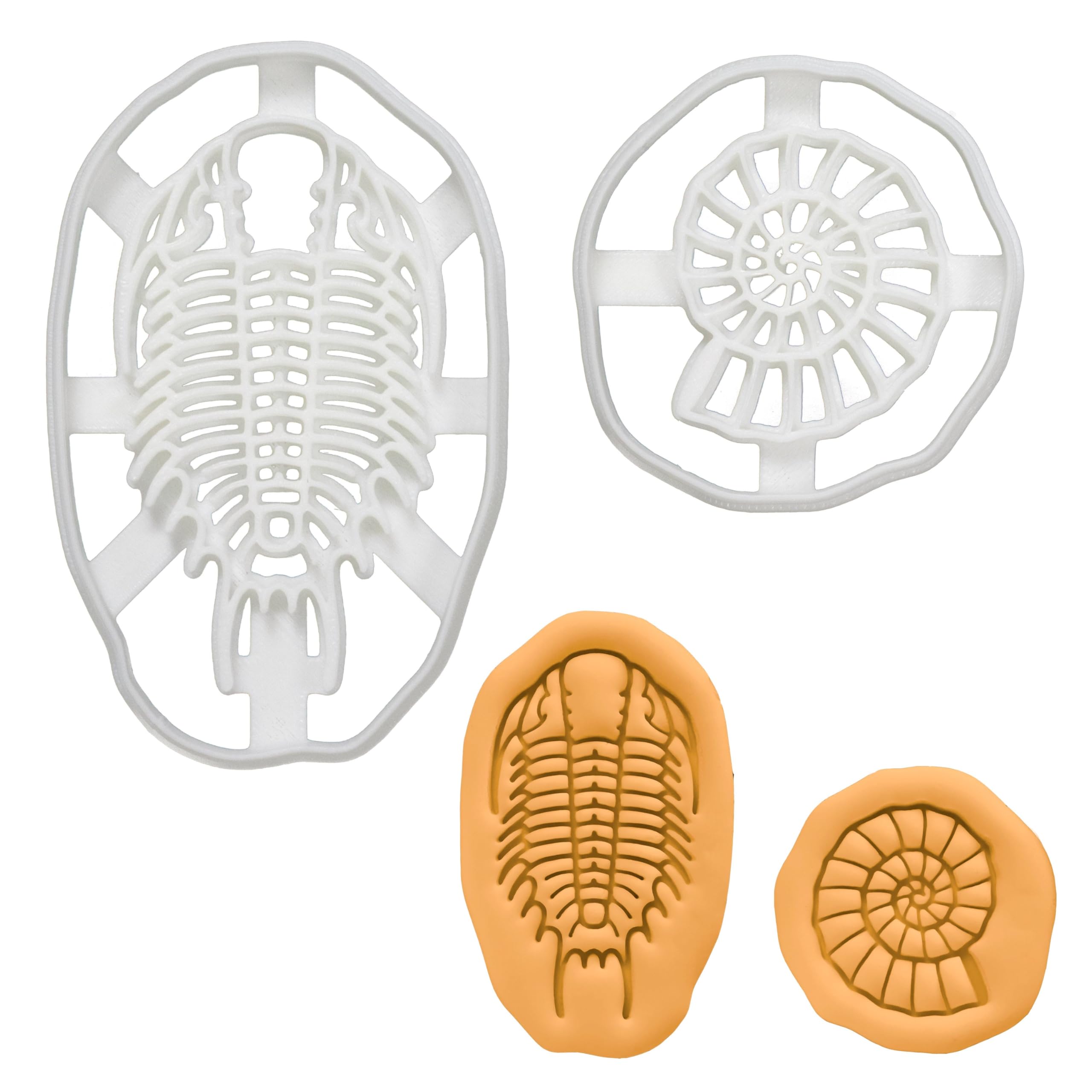 BAKERLOGY Set of 2 Cookie Cutters (Designs: Ammonite & Trilobite) - Detailed Biscuit Cutter Design for Baking and Crafts, Ideal on Fondant, Dough, Clay