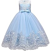 IBTOM CASTLE Flower Girl Pageant Embroidery Lace Tulle Dress for Kids Wedding Bridesmaid Birthday Party Formal Princess Gown