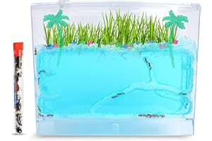 NATURE GIFT STORE Gel Ecosystem Ant Habitat with 25 Live Ants - Educational Eco-Terrarium Kit for Kids - Includes Nutrient Gel, Seeds, Palm Trees, Rocks, and More - Perfect Science Gift