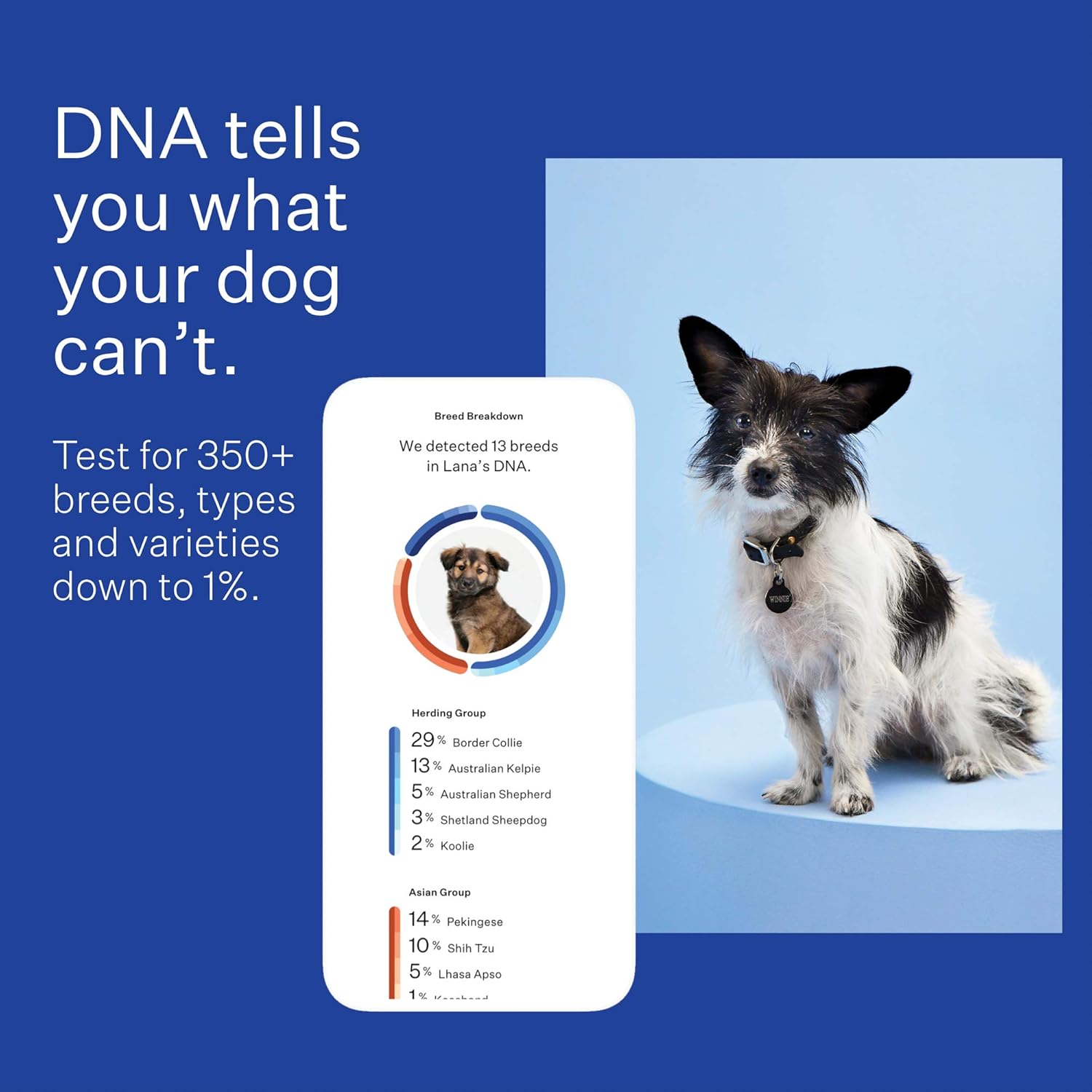 wisdom dna test amazon