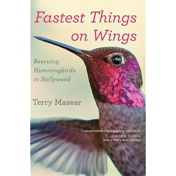 Amazon.com: NATURE: Hummingbirds of Hollywood DVD : Terry Masear