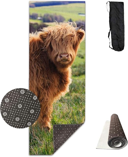 Amazon Com Long Haired Cow Yoga Mat Advanced Yoga Mat Non