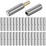 Yaocom 30 Pack 2-1/2" x 3/8" Weldable Barrel Hinges