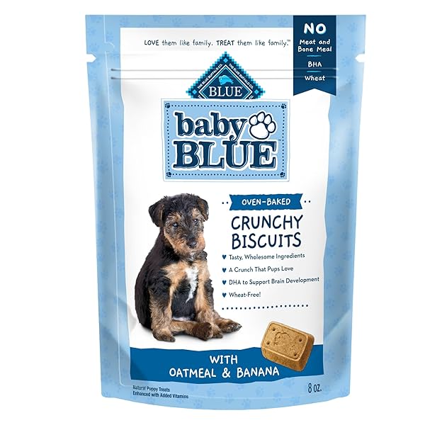BLUE BUFFALO BABY BLUE CRUNCHY BISCUITS WITH DHA,...