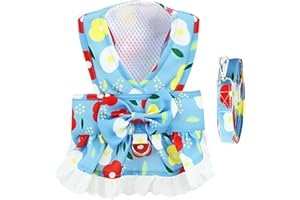 BAEJMJK Dog Dress Harness and Leash Set for Small Dogs Floral Bow Tie Girl Puppy Dress Breathable Cute Princess Dog Dresses Spring Summer Pet Cat Clothes Skirt(Light Blue,X-Small)
