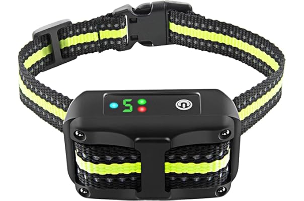 bark collar large dog