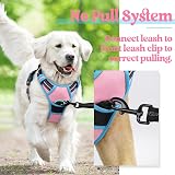 Rabbitgoo Dog Harness Large No Pull Reflective Adjustable Pink Blue L view 7