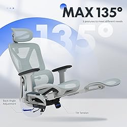 FLEXISPOT ErgoX Premium Ergonomic Office Chair with