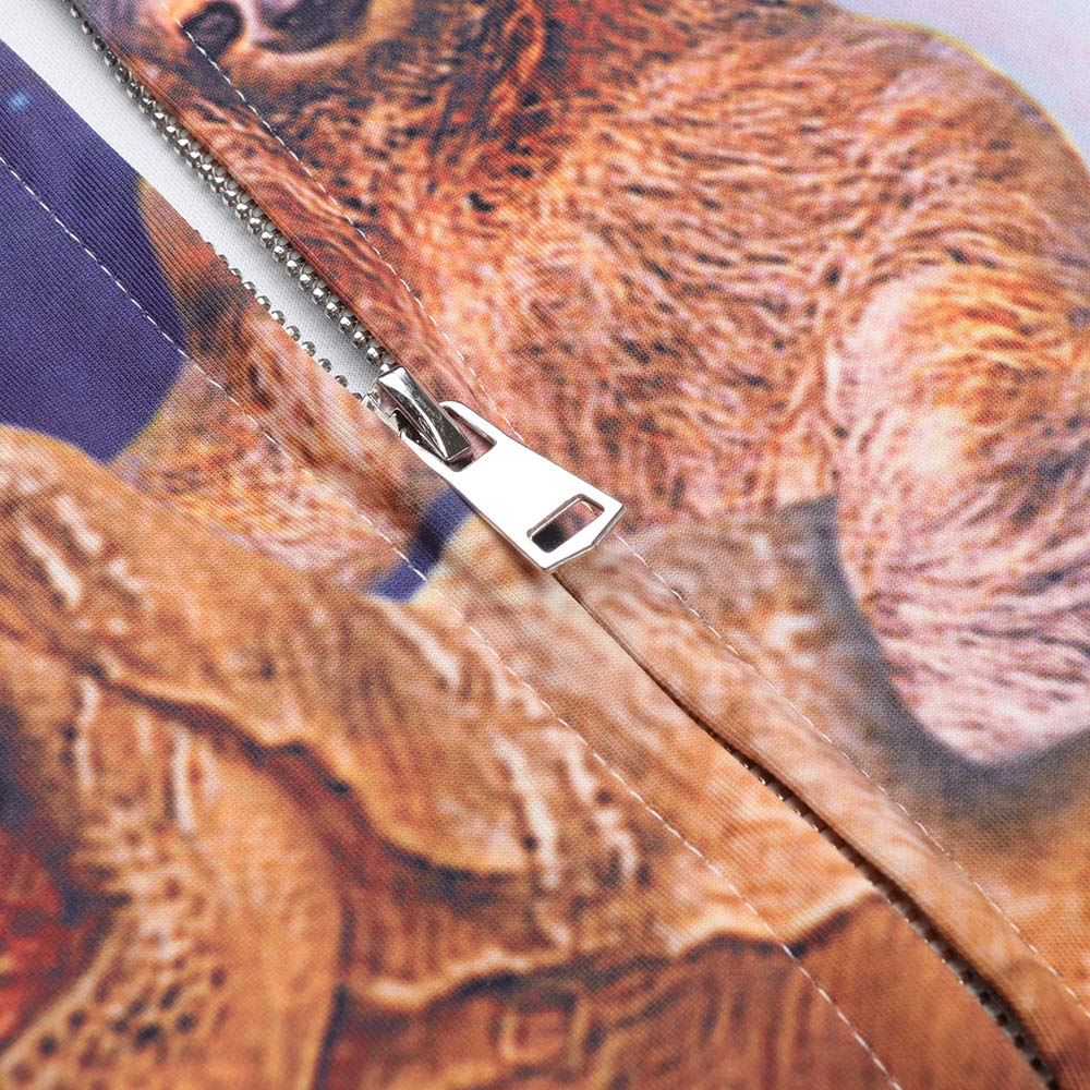 Leapparel Men/Women 3D Hoodie Full Zip Print Graphic Sweatshirts Pullover Casual Pocket Jacket (L, Dinosaur&Sloth)