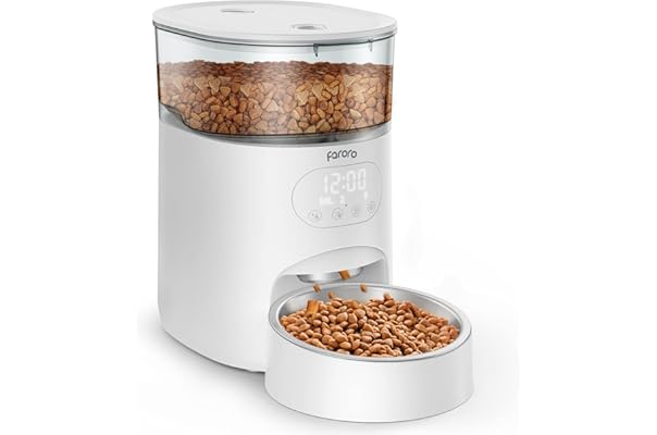 multi day cat feeder