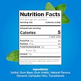 PUR Gum Sugar Free Peppermint Xylitol Vegan Gluten Free Keto 55 Pieces Pack of 6 view 6