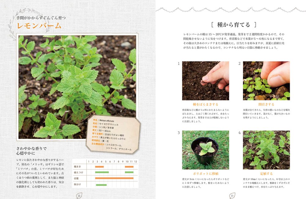 おうちで育てる 手作りハーブコスメ ハーブと暮らすナチュラルライフ 高浜 真理子 本 通販 Amazon