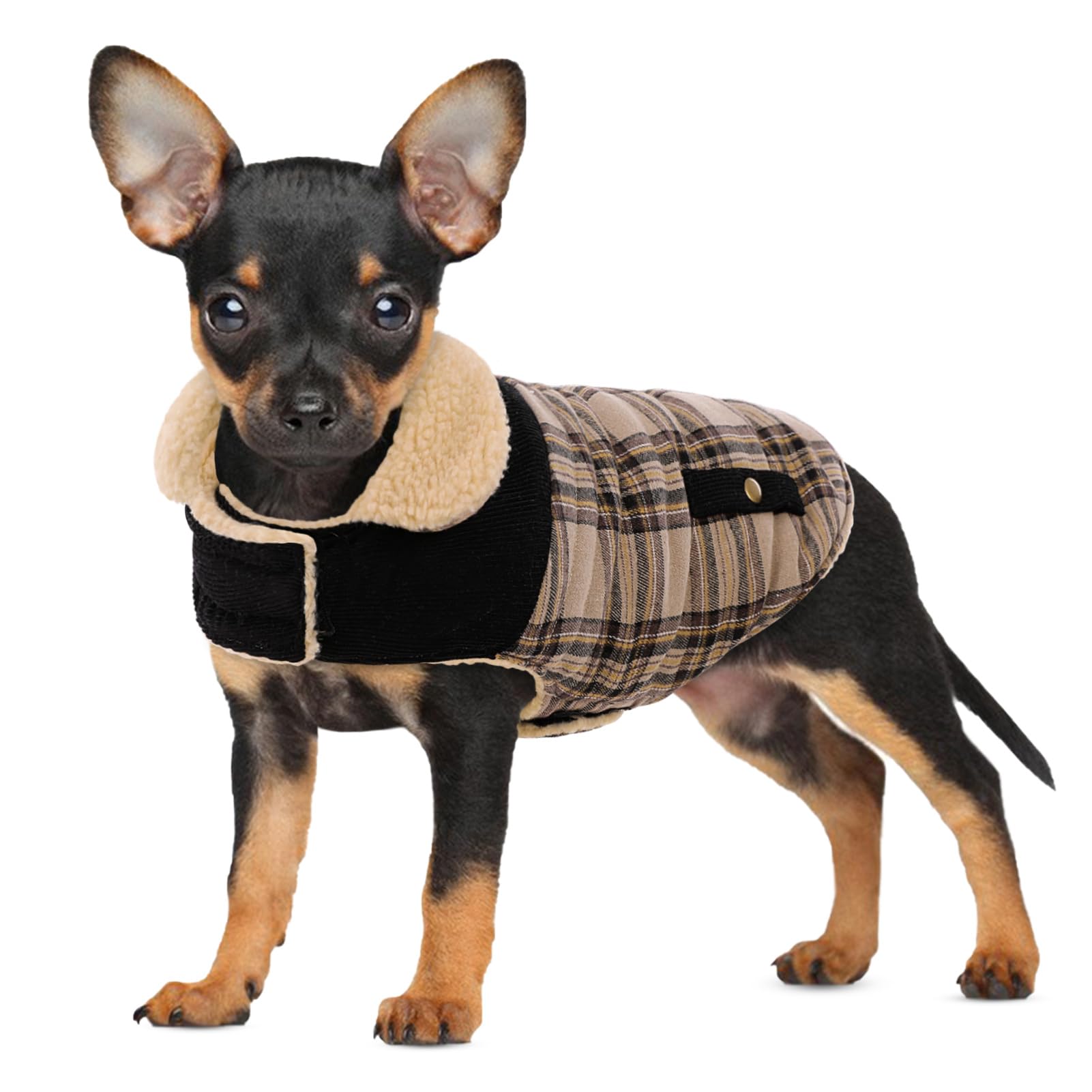Dog Winter Coat for Small Dogs, Puppy Solid Jacket, Pet Warm Coat for Cold Weather, Windproof Pets Thickened Outfits Garments Indoor Outdoor, Beige XS Image