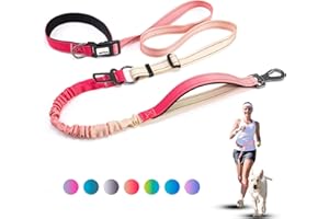 JETOG Heavy Duty Hands Free Dog Leash, 4-6 FT Reflective Adjustable Waist Dog Leash Belt with Padded Handles, Shock Absorbing Bungee and Car Seat Belt for Large Medium Dogs (Gradient Rose, L)