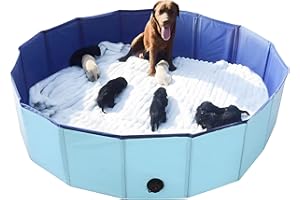 Artilife Whelping Box for Dogs Welp Box Whelping Pool,Puppy Whelping Box,Whelping Pen for Dogs,Whelping Box for Dogs and Puppies,Birthing for Dogs (63inch Dia.x12inch H(160x30cm), Blue)