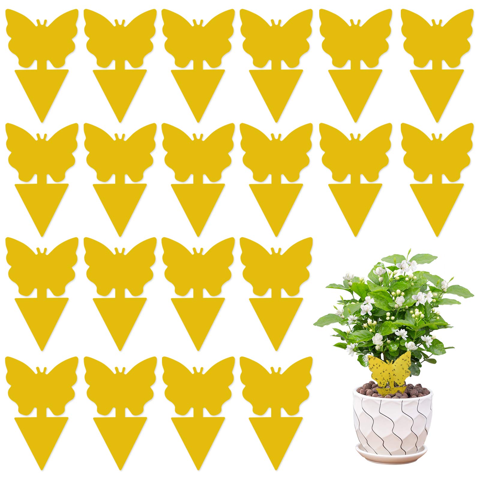 20 Pieces Sticky Fruit Fly Traps and Fungus Gnat Trap Killer for Plants Fruit Fly and Fungus Gnat Trap Killer Indoor and Outdoor, Gnat Trap Houseplant, Sticky Gnat Traps