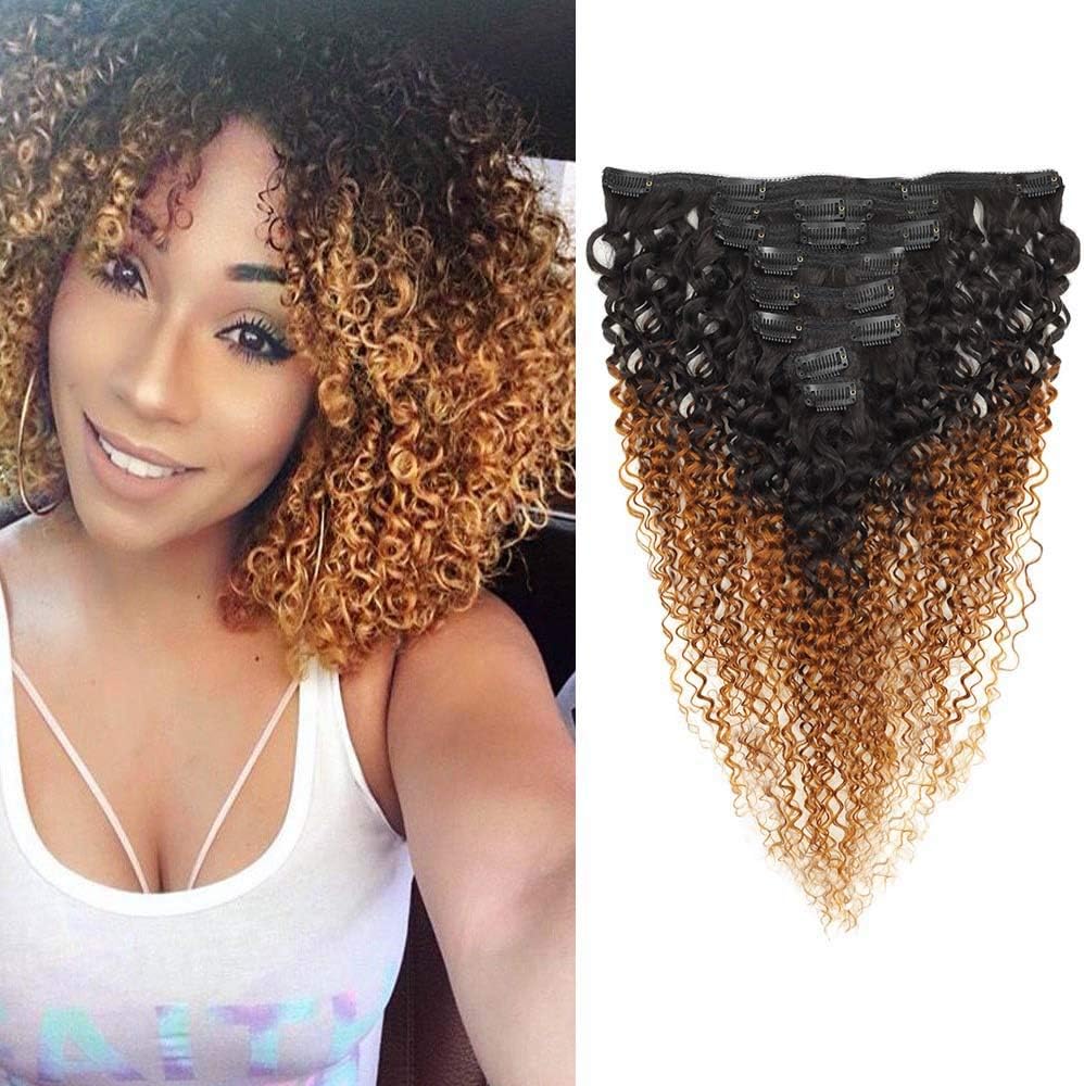Seelaak 12inch Ombre Brown Curly Clip in Hair Extensions Brazilian Remy Hair Kinky Curly Clip Ins for Black Women