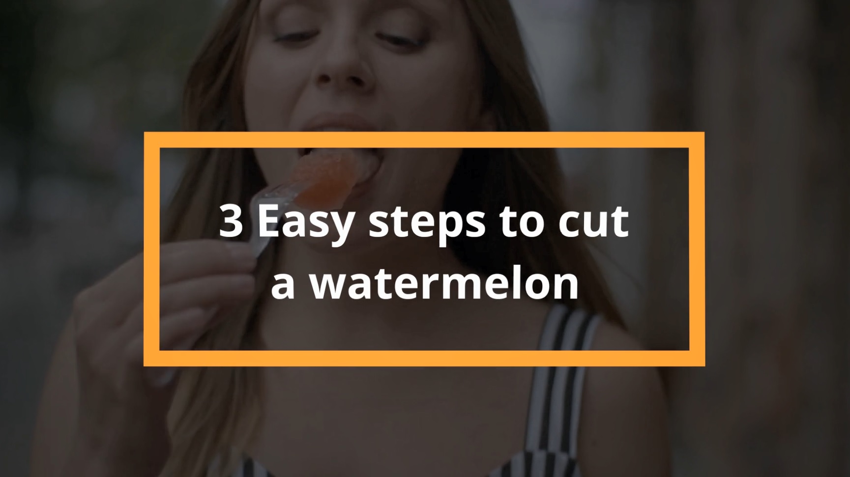 6 Watermelon+Windmill+Cutter+Seconds+Stainless