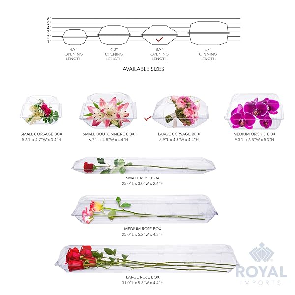 ROYAL IMPORTS CLEAR PLASTIC FLOWER BOX FOR CORSAGE, BOUTONNIERE, ROSE, ORCHID PROM WEDDING CRAFT CONTAINER 9X5X4-50 PACK