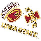 Desert Cactus Iowa State University Sticker ISU Cyclones Vinyl Decals Laptop Water Bottle Car Scrapbook T5 (Type 5-1)