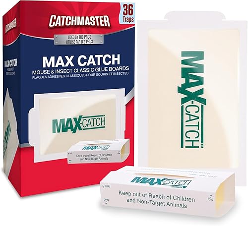 Catchmaster Max-Catch Mouse & Insect Glue Trap 36pk, Mouse Traps Indoor for Home, Sticky Pest Control Adhesive Tray for Catching Bugs, Bulk Classic Glue Boards