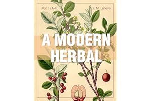 A Modern Herbal (Volume 1, A-H): The Medicinal, Culinary, Cosmetic and Economic Properties, Cultivation and Folk-Lore of Herb