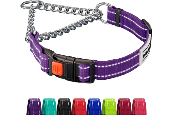 CollarDirect Martingale Dog Collar Dog Choke Collars Stainless Steel Chain Quick Release Buckle - Reflective Collar for Large