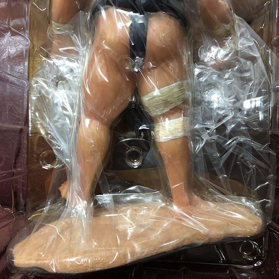 Amazon Co Jp 貴乃花 鬼の形相 フィギュア ホビー 通販