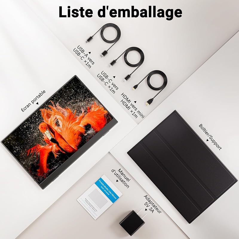 Ecran Portable, 15,6 Pouces Moniteur Portable IPS 100% SRGB