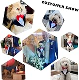 PUMYPOREITY Dog Tuxedo and Bandana Set Blue Size S view 7